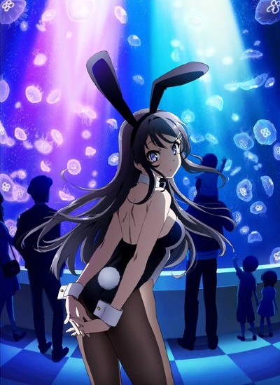43289997450_0fea08925a_b - Seishun Buta Yarou wa Bunny Girl Senpai no Yume o Minai [13/13] [BD] [MG-GD] - Anime Ligero [Descargas]
