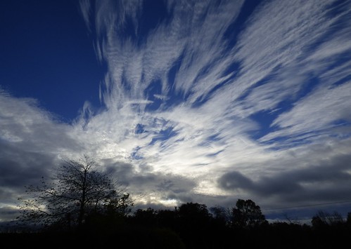 sky cloud cirrus weather nature autumn scotland silhouette trees