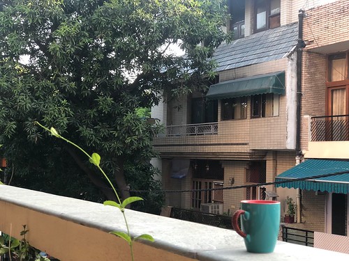 Home Sweet Home - A Lady's Balcony, South Delhi