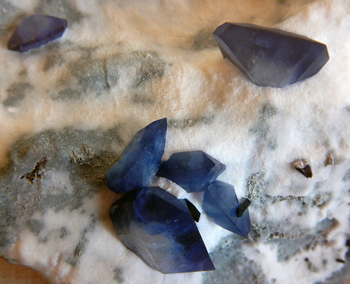 Smoky blue Kyanite crystal in the Copenhagen Natural History Museum, Denmark