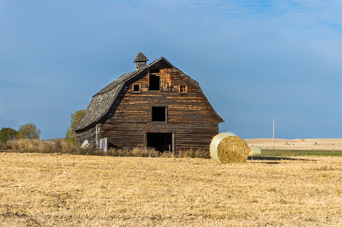 barn field roundbale bale straw