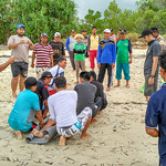 Stranded Dugong Handling Practice