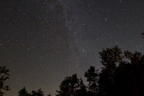 cookforest exposure milkyway space night sky nightsky stars silhouette trees