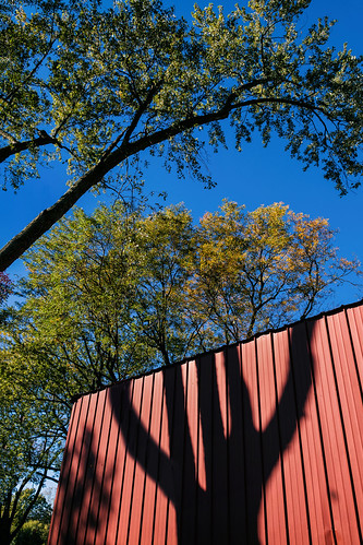 cantignypark wheatonillinois winfieldillinois dupagecounty trees branches shadows foliage redwall building shed wall trunks leaves autumn fall gold golden bluesky composition illusion alignment outdoors nature architecture landscape horticulture vertical chicagoland nikond7500 sigma18300 photoshopbyfehlfarben thanksbinexo