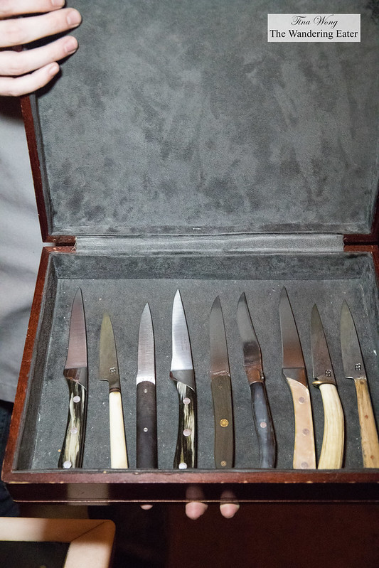 Selection of steak knives to use