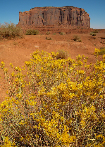 Buttes of red sandstone at Monument Valley, within the Navajo Nation land that straddles the Arizona-Utah border