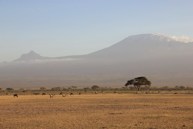 Dia 2: Comienza la aventura: primer contacto con Amboseli (10/02/2018) - Hakuna Matata: Memorias de Africa - En construccion! (20)