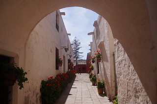12-036 Santa Calalina klooster