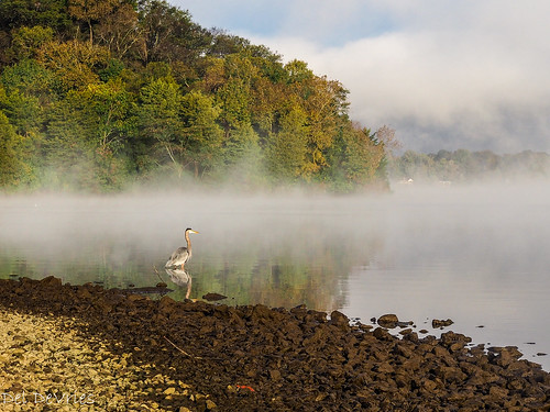 oldhickorylake tennessee wilsoncounty foggy sunrise oldhickory unitedstates us