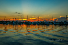 Marina Reflection Sunrise