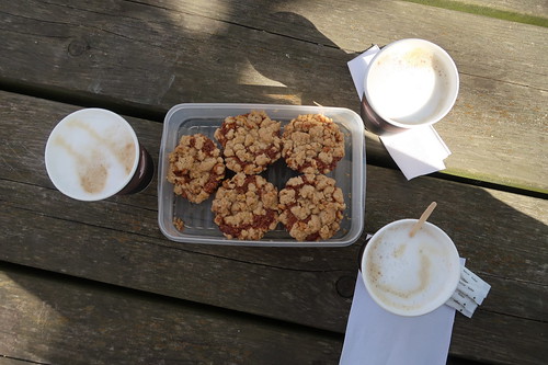 Walnuss-Apfel-Muffins zu Milchkaffees (bei Nachmittagsrast im Osnabrücker Zoo)