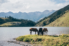 Kyrgyzstan - Chon-Kemin Valley
