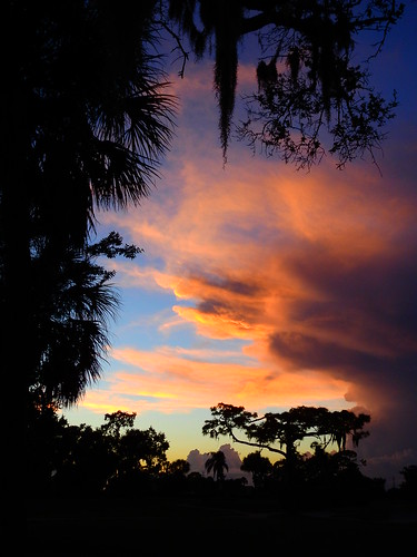 sunset sundown dusk sun evening endofday sky clouds color red gold orange pink yellow blue tree palm outdoor silhouette weather tropical exotic wallpaper landscape nikon coolpix p900 jimmullhaupt manateecounty bradenton florida cloudsstormssunsetssunrises storm thunder wind rain photo flickr geographic picture pictures camera snapshot photography nikoncoolpixp900 nikonp900 coolpixp900
