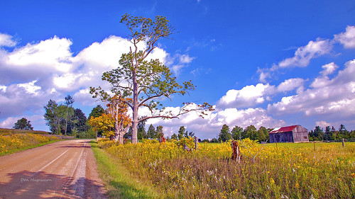 landscape road tree sky fall autumn colors colours barn farm fence ontario new tecumseth