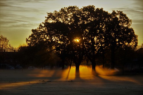 mist morning dawn sunrise sun shine light shadows trees nature pentaxart pentax art sundorne shrewsbury shropshire