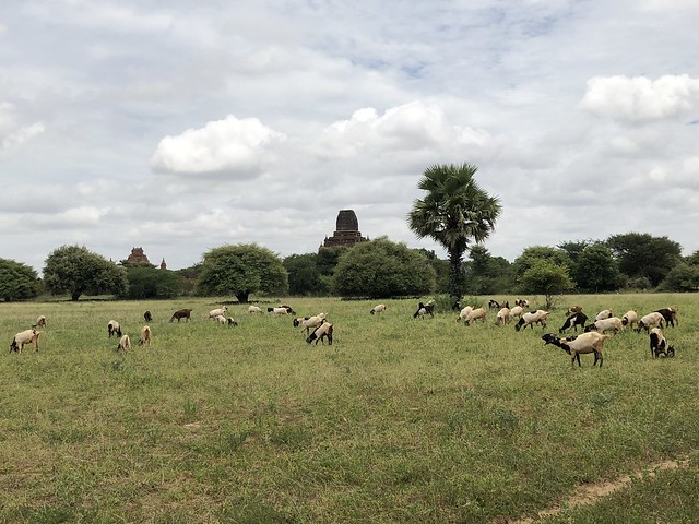 Bagan Segundo día (Interludio Parte I) - Myanmar, Camboya y Laos: la ruta de los mil templos (27)
