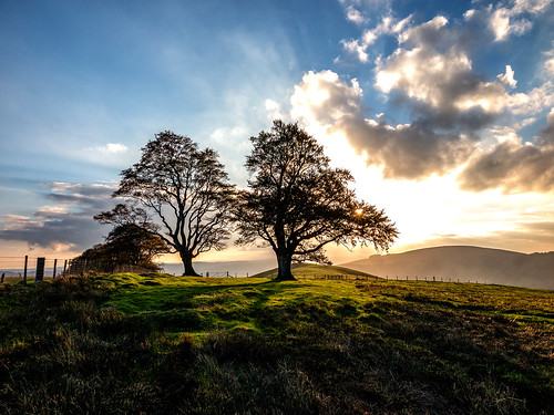 ianwright 2018 blip finwrightphotographycouk ian fin canon g1xmkii shropshire southshropshire bishopscastle hill hills autumn trees tree sunset sun sky linley linleybeeches finwright