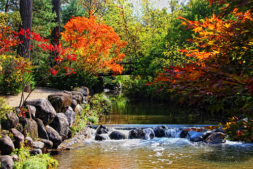 landscape autumn usa illinois rockford water andersongarden andersonjapanesegarden japanesegarden waterfall nature brown green red rocks tree trees pool bridge reflection beauty beautiful color colour
