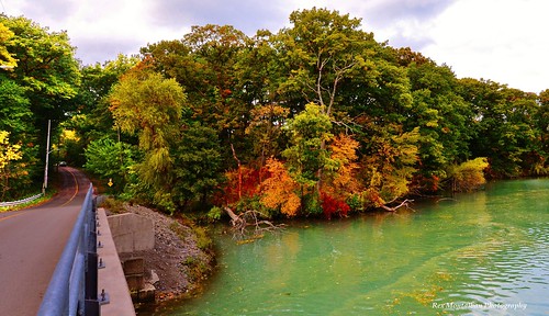 rexmontalbanphotography niagara stcatharines portdalhousie autumn fall colours