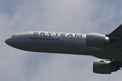 Air France F-GZNT Skyteam Scheme