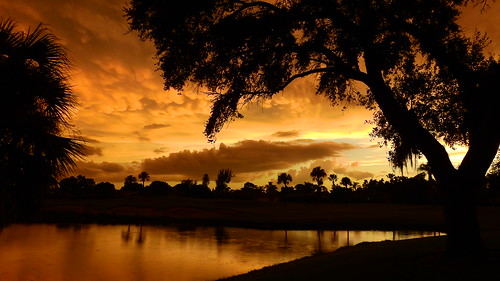 sunset sundown dusk sun evening endofday sky clouds color red gold orange pink yellow blue tree palm outdoor silhouette weather tropical exotic wallpaper landscape nikon coolpix p900 pond lake water reflection manateecounty bradenton florida jimmullhaupt cloudsstormssunsetssunrises photo flickr geographic picture pictures camera snapshot photography nikoncoolpixp900 nikonp900 coolpixp900 mammatusclouds