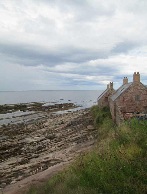 cottages at Cove