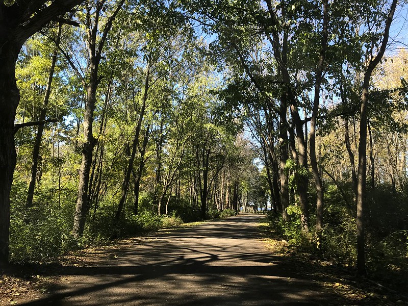 Sun-dappled road at Lone Point Shelter