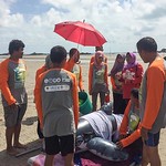 Marine Mammal Stranding Training in Central Bangka 5-7Sep17 (4)