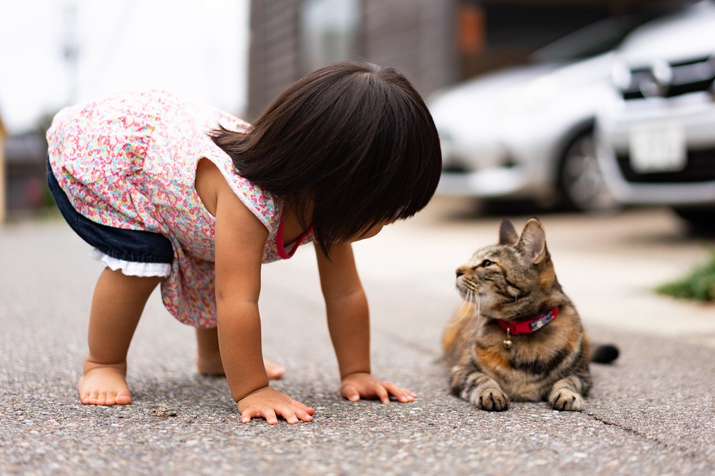 Cat and Kids