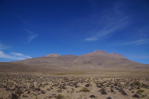 13-020 Uitzicht bij stopplaats vicuña