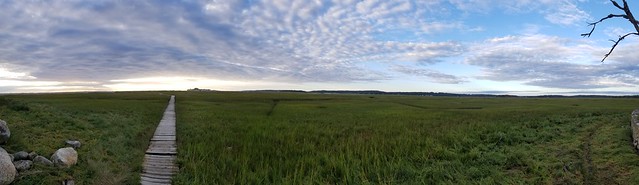 dawn on the marsh