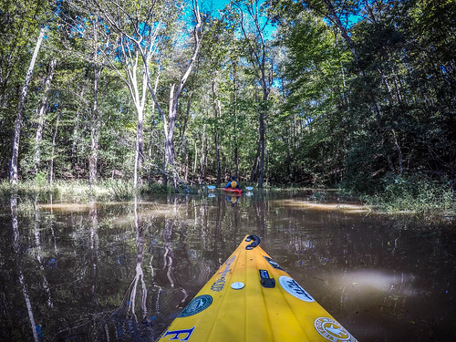 boydmillpond kayaking laurenscounty paddling reedyriver southcarolina graycourt unitedstates us