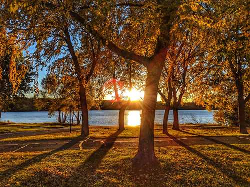 tree grass park tranquil scene lawn idyllic picturesque autumn sunset lake