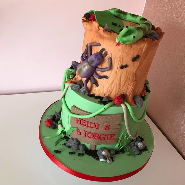 Cake by Amelia's Dream Bakes