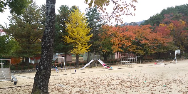 화북초등학교