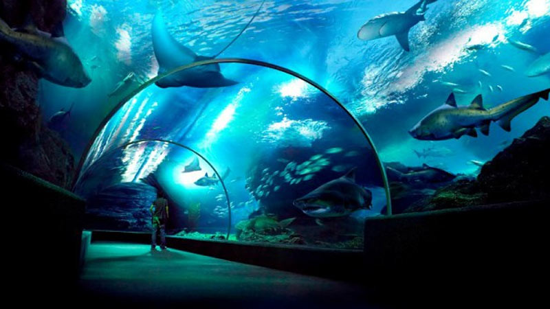 Akuarium raksasa di South East Asian (S.E.A) Aquarium, Singapura