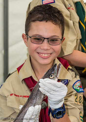 dailyphoto camping people fall d7200 albrightscoutreservation heartofvirginiacouncil scout virginia chesterfieldcountyvirginia boyscoutsofamerica chesterfieldcounty matoaca pauldiming fish scouts fishwildlifemeritbadge unitedstates us