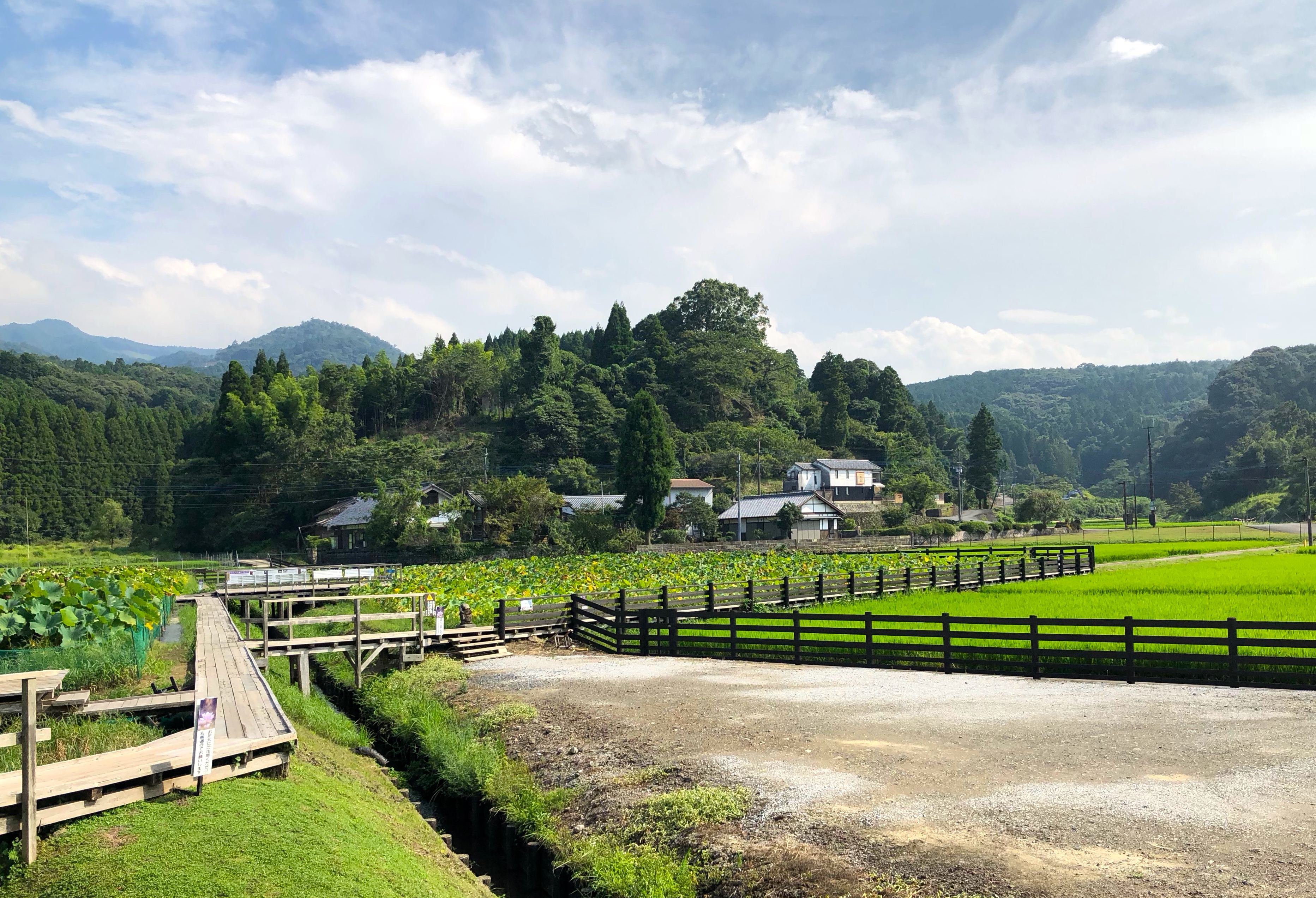 Oita, Japan 2018 191