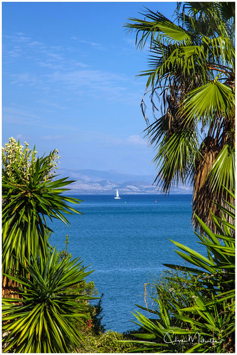 yacht corfu gouvia kerkyra bluesky palm coast idyllic pulchritude view vacation