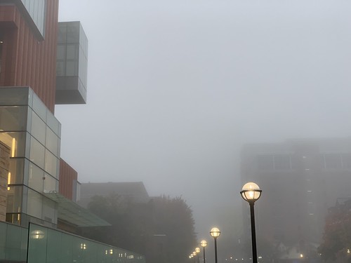 foggy morning in A2 #replyhazytryagain #fog