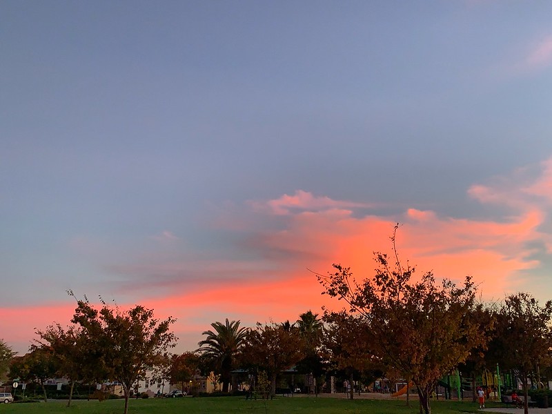 Sunset across the park