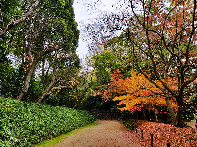okayama korakuen autumn
