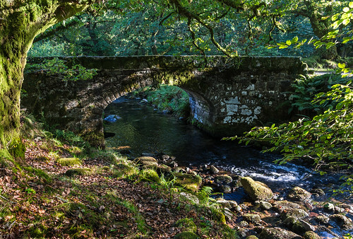 burrator dartmoor dartmoornationalpark devon englanduk norsworthybridge rivermeavy themeavy uk westcountry bridges rivers stonebridges
