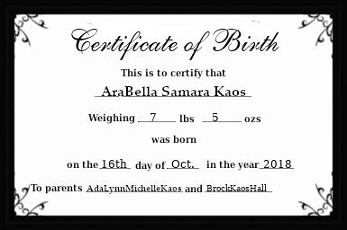 birth certificate - arabella sticker