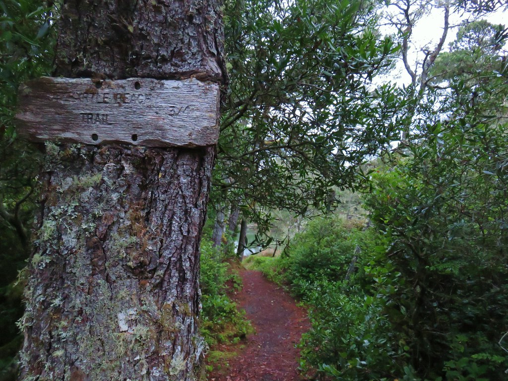 Waxmyrtle Trail
