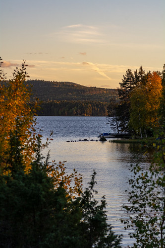 bergslagen foliage lake landsbygd ludvika sjö skog vatten väsman water dalarnaslän sweden se
