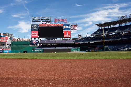 View From The Dugout