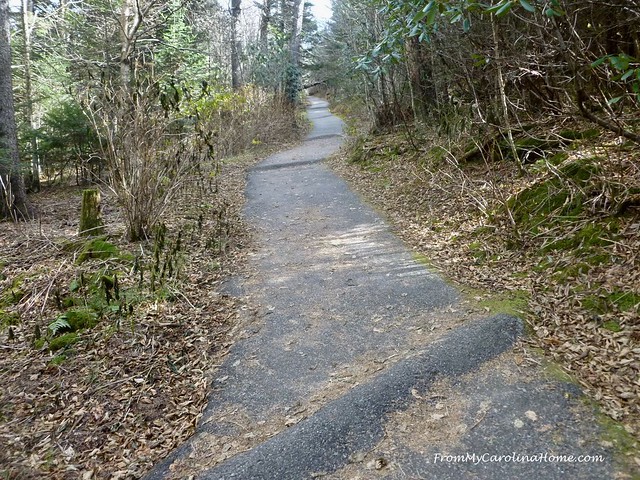 Hiking the Devil's Courthouse at FromMyCarolinaHome.com