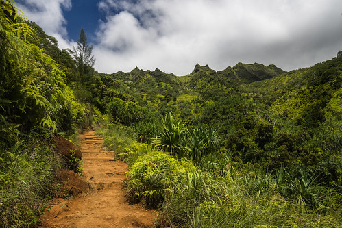 hawaii kapaa usa us green landscape 50shadesofgreen kauai