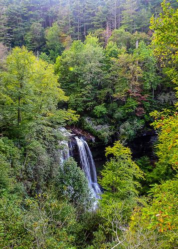 cullasajariver dryfalls falls forest nantahalanf nature nc northcarolina outdoor river trail tree trees us64 water waterfall waterfalls westernnorthcarolina wnc
